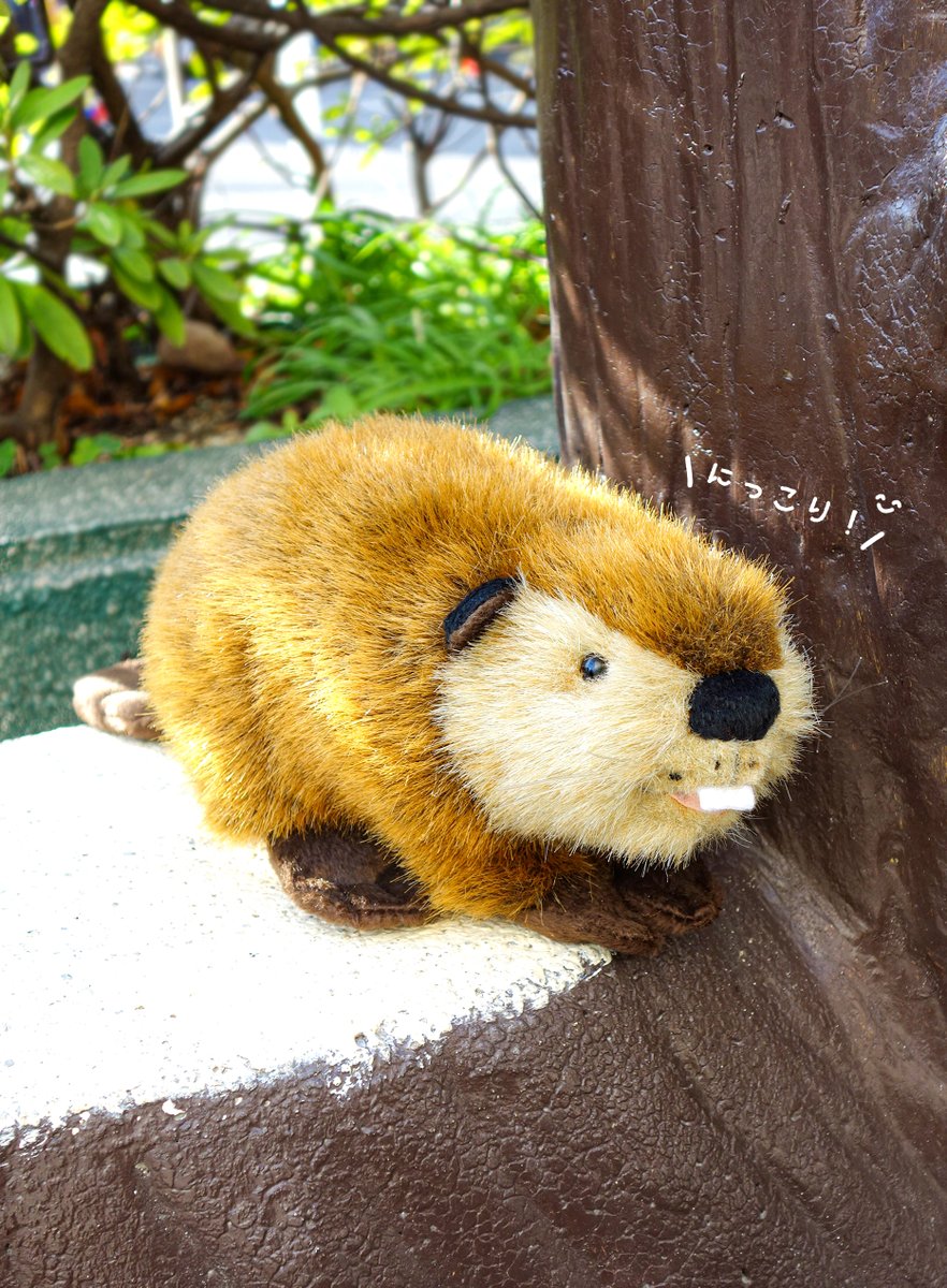 EwUtHy_VgAAvBFn.jpg?format=jpg