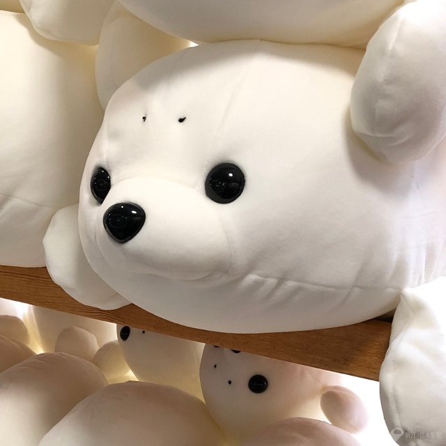 ぬいぐるみくじ」に白いアザラシが仲間入りです。 どれかが当たる1～4