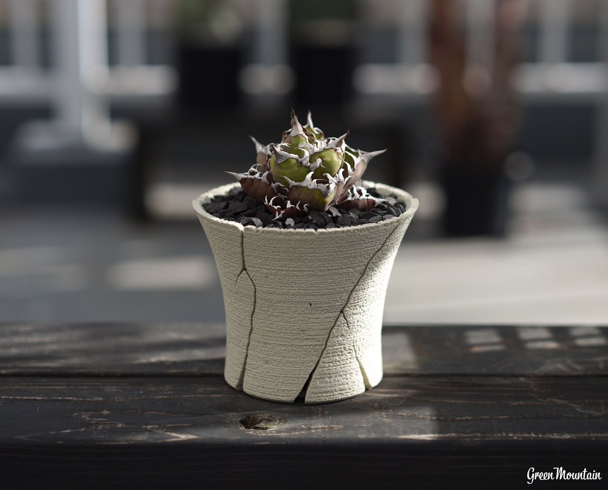 こういうの創ってます 割れた陶器のようなプラ鉢を3Dプリンターで作っ