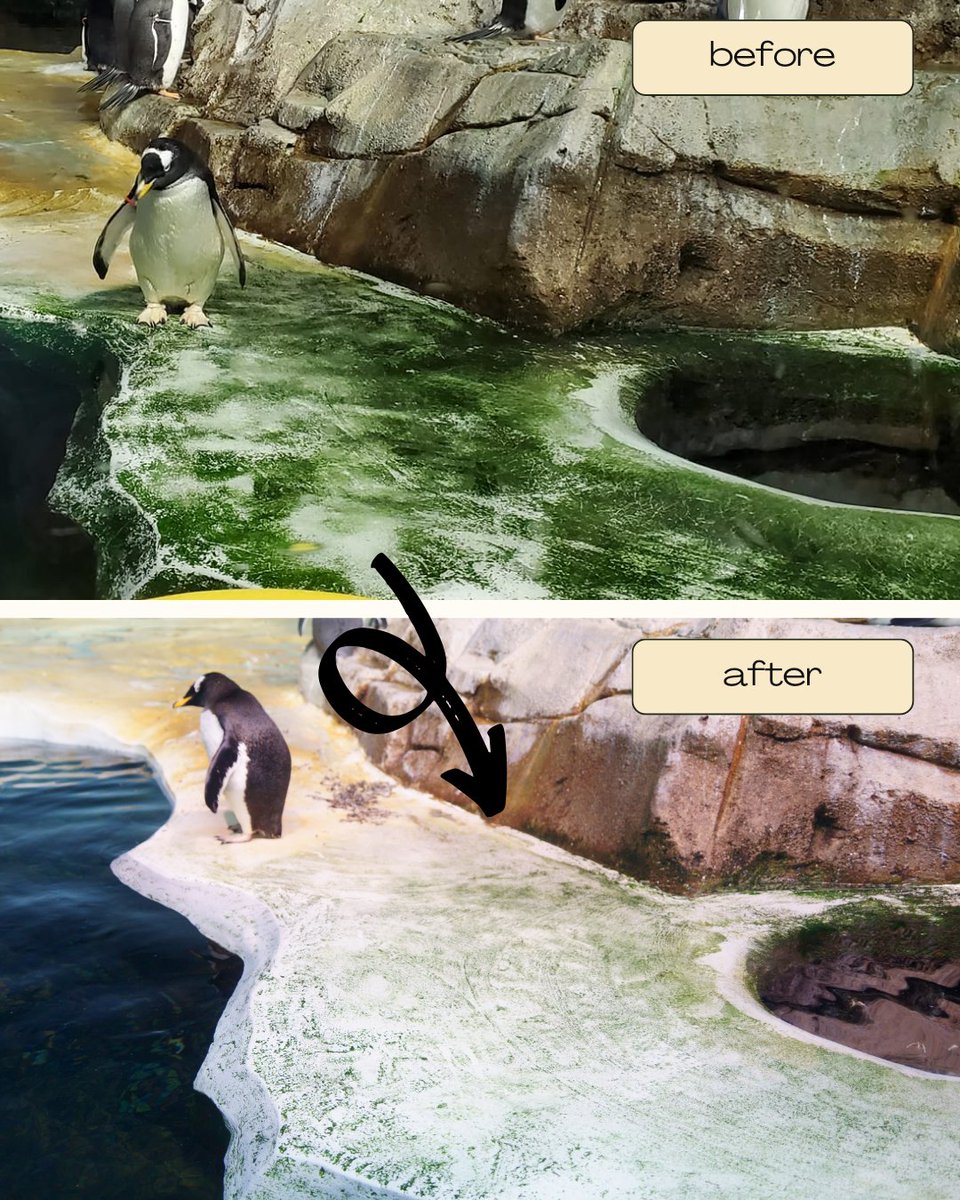 ペンギンちゃん🐧 (@ariel_digit) / Posts / X