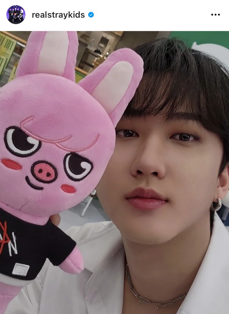 グッズ】チャンビン SKZOO まとめ売り straykids スキズ