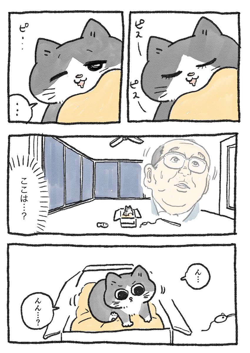 ねこに転生したおじさん。その12