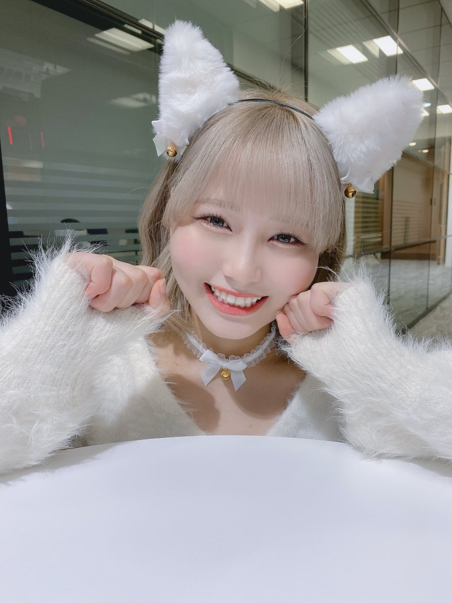 Post by 大場 花菜 on X: ねこ 🐱❕❕❕