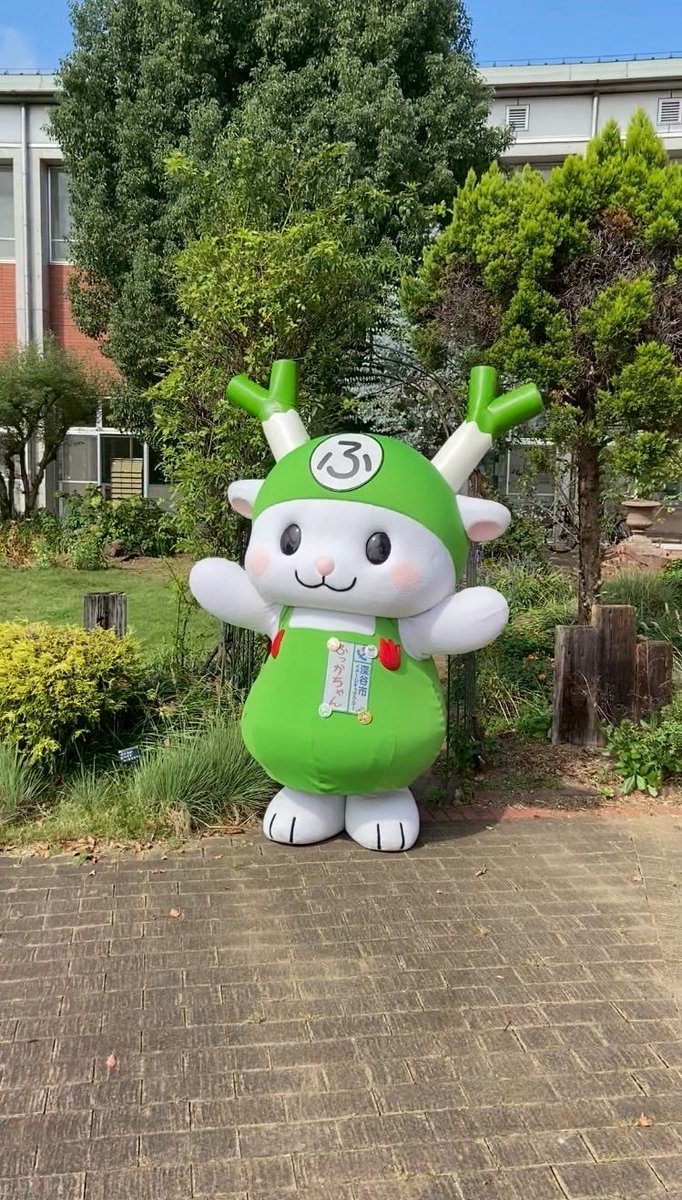 ふっかちゃんページです！2点セットアップ ふっかちゃんページです！2