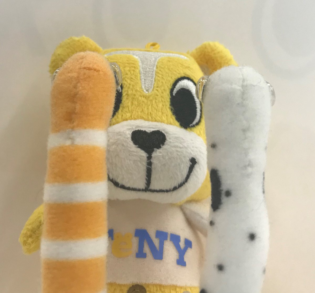 てっと君 (@tetto_kun) / Posts / X