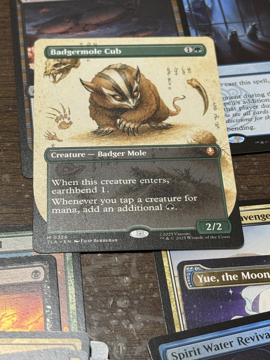 アナグマモグラの仔 英語 2枚 アナグマモグラの仔 英語版 2枚 FOIL/MTG