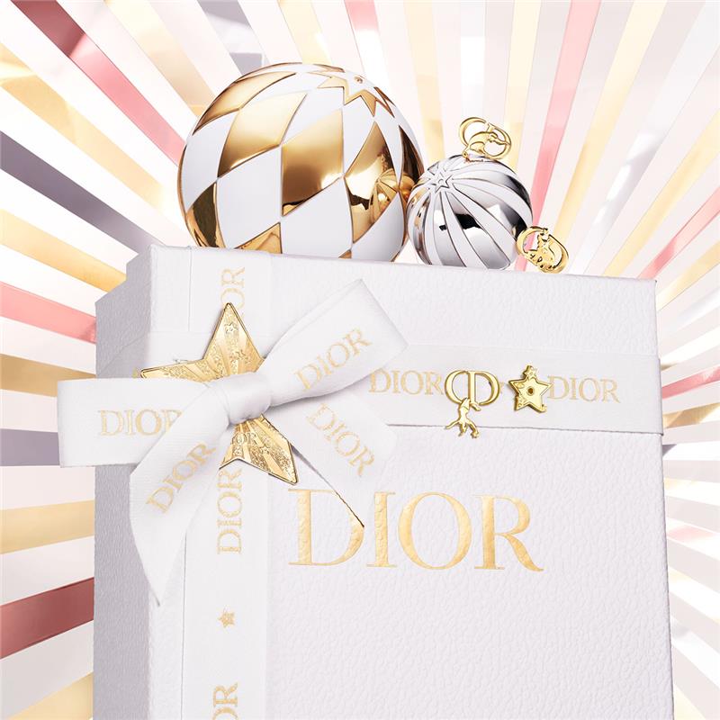 ディオールと贈ろう、魔法のギフト​】 大人気ハイライト パレットと