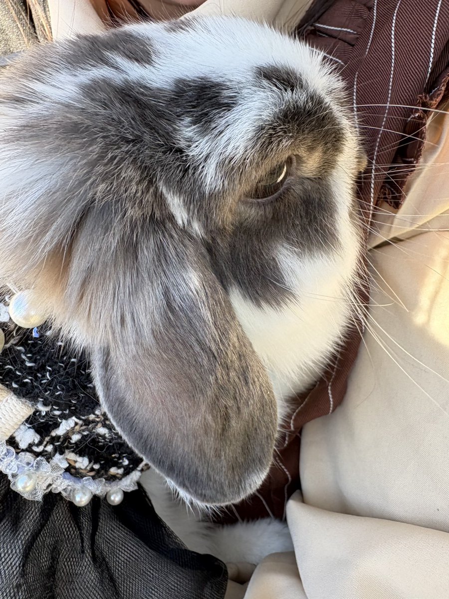 saki (@sakik75069246) / Posts / X