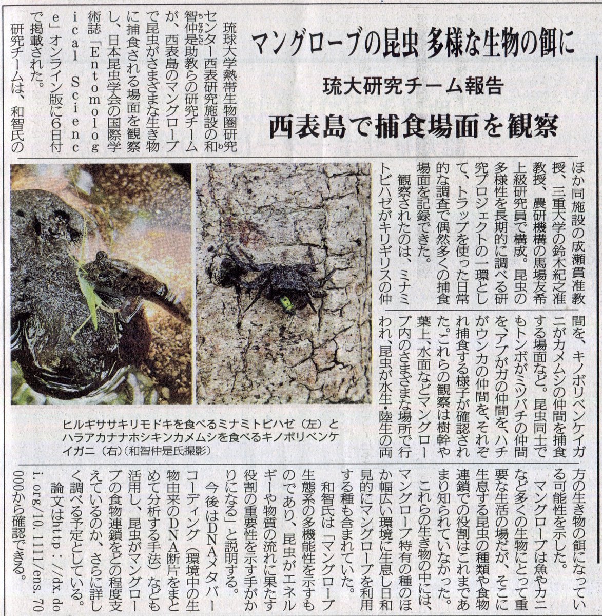 おきしま (@papilio_memnon) / Posts / X