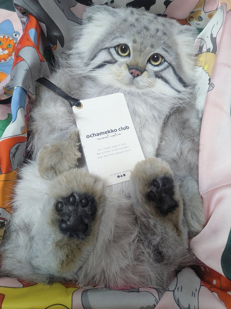 ochamemö ○△□｜おちゃめも (@rik27xxx) / Posts / X