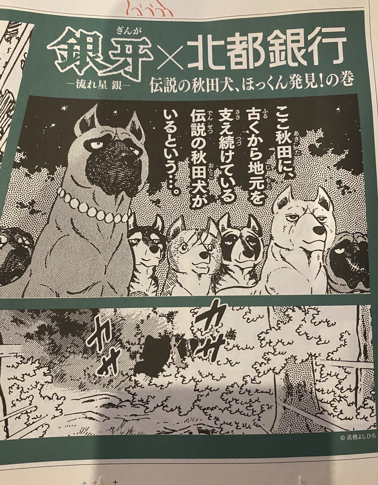 高橋よしひろ先生 手ぬぐい 手ぬぐい 高橋よしひろ - cataloguedislab.com