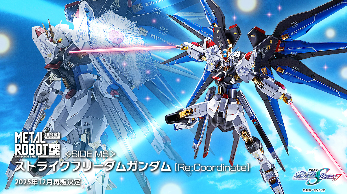 機動戦士ガンダムSEED DESTINY』より 「METAL ROBOT魂 ＜SIDE MS