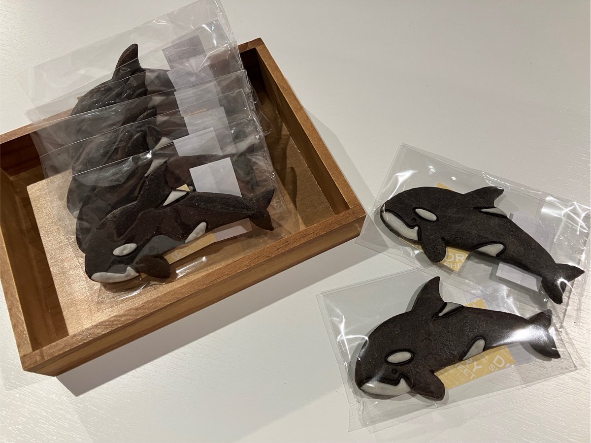 本日7/14は世界シャチの日✨ AOAO SAPPOROでは、海の世界をデジタル