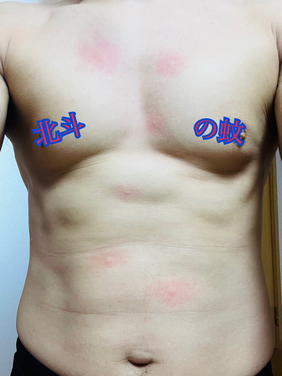 やすぽん。 (@Yasupooooon) / Posts / X