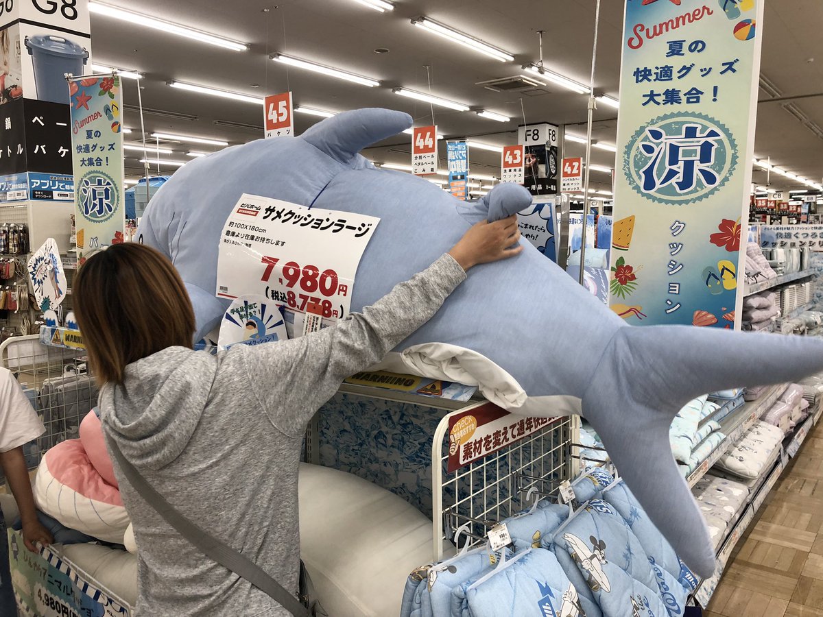 ビバホームで バカ売れのサメクッションに 大興奮のげっぺいw これは