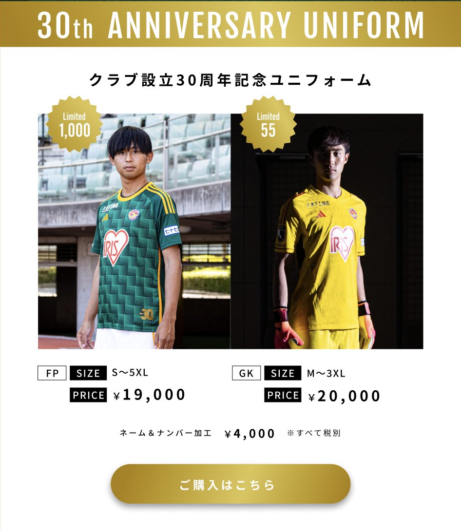 ベガルタ仙台 30周年記念ユニフォーム XL ベガルタ仙台 30周年記念