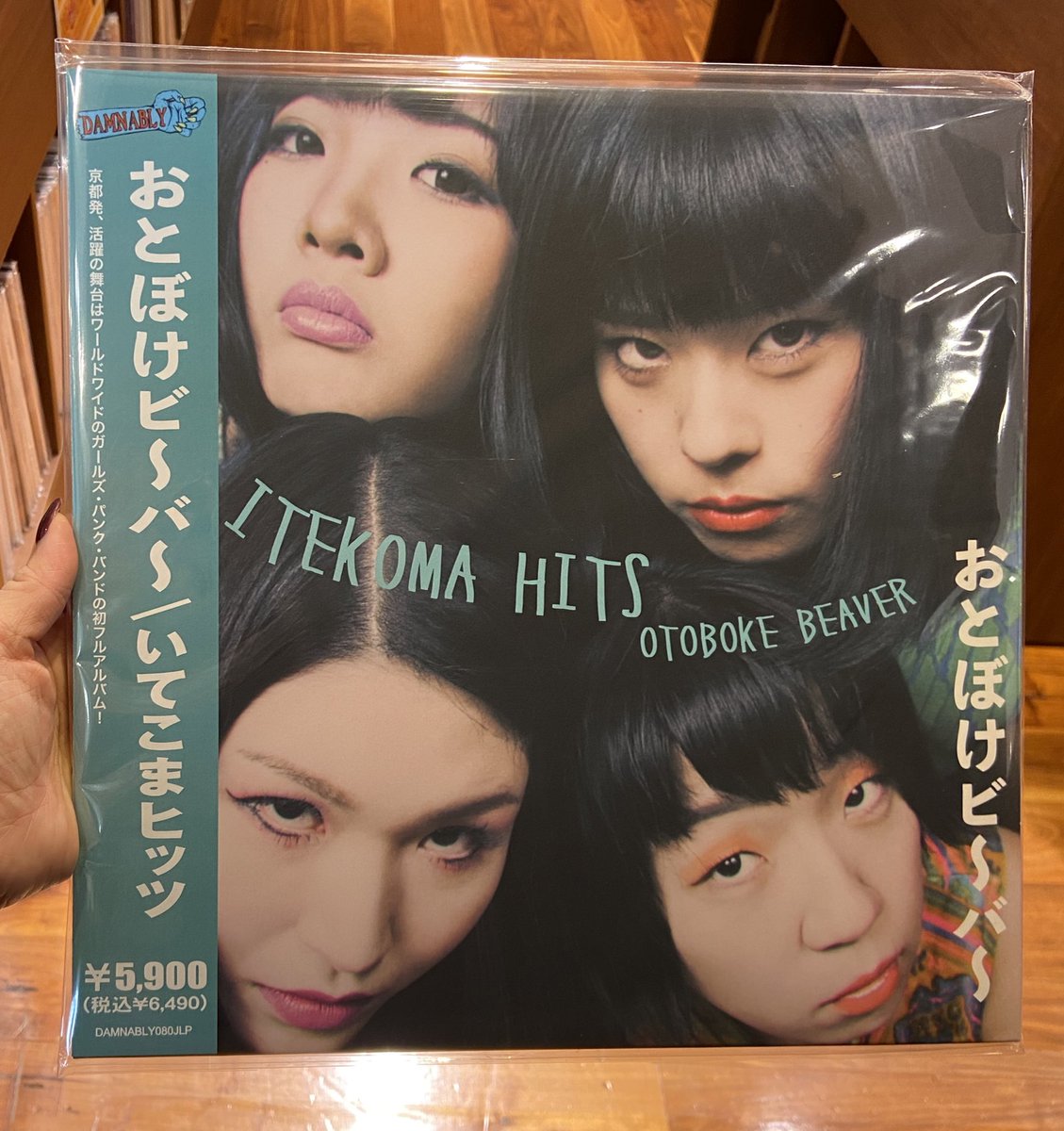 おとぼけビーバー】 おとぼけビ〜バ〜の日本語帯付きレコードが入荷