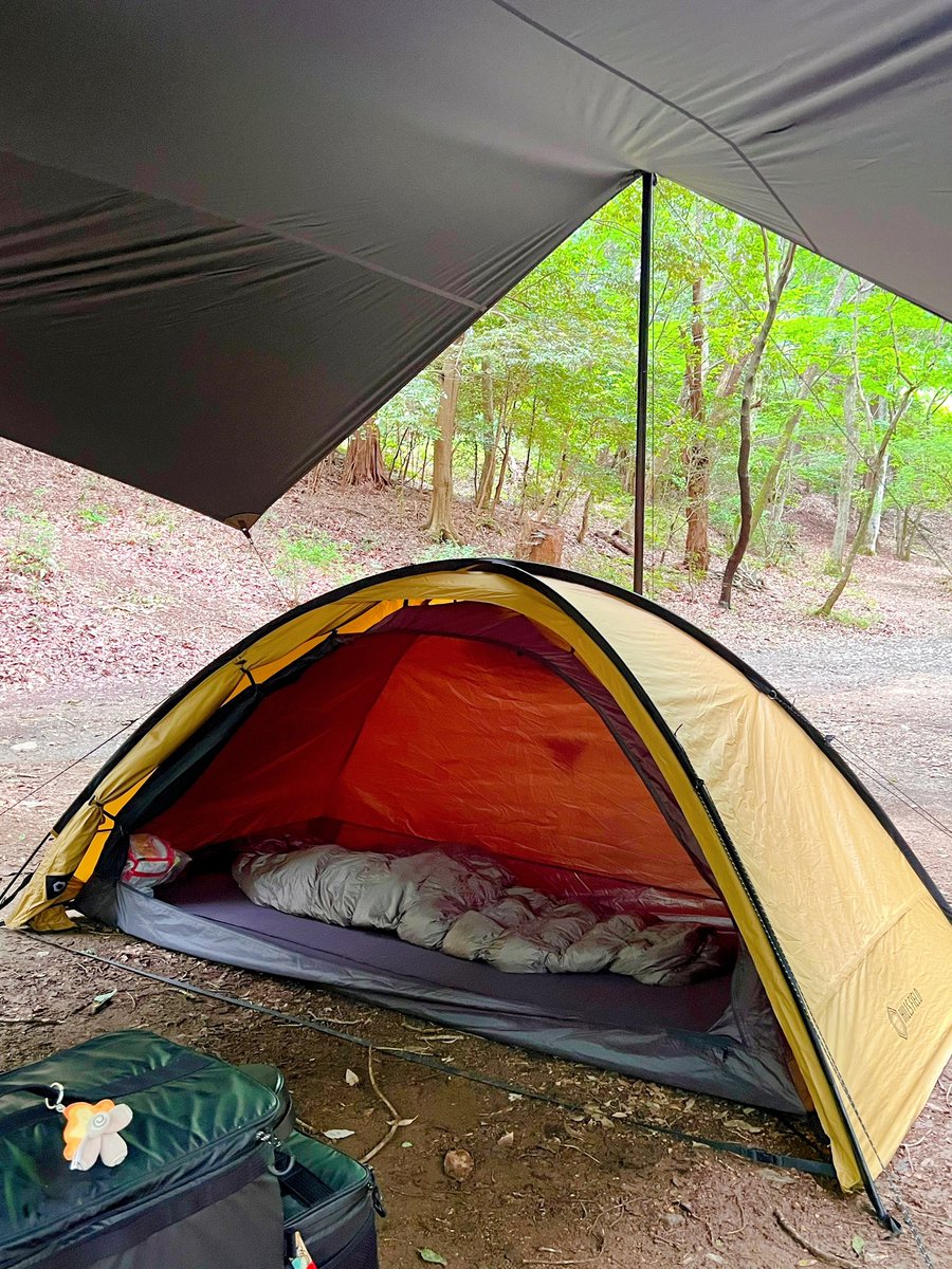 Grh_b2DbsAAq1re.jpg?format=jpg