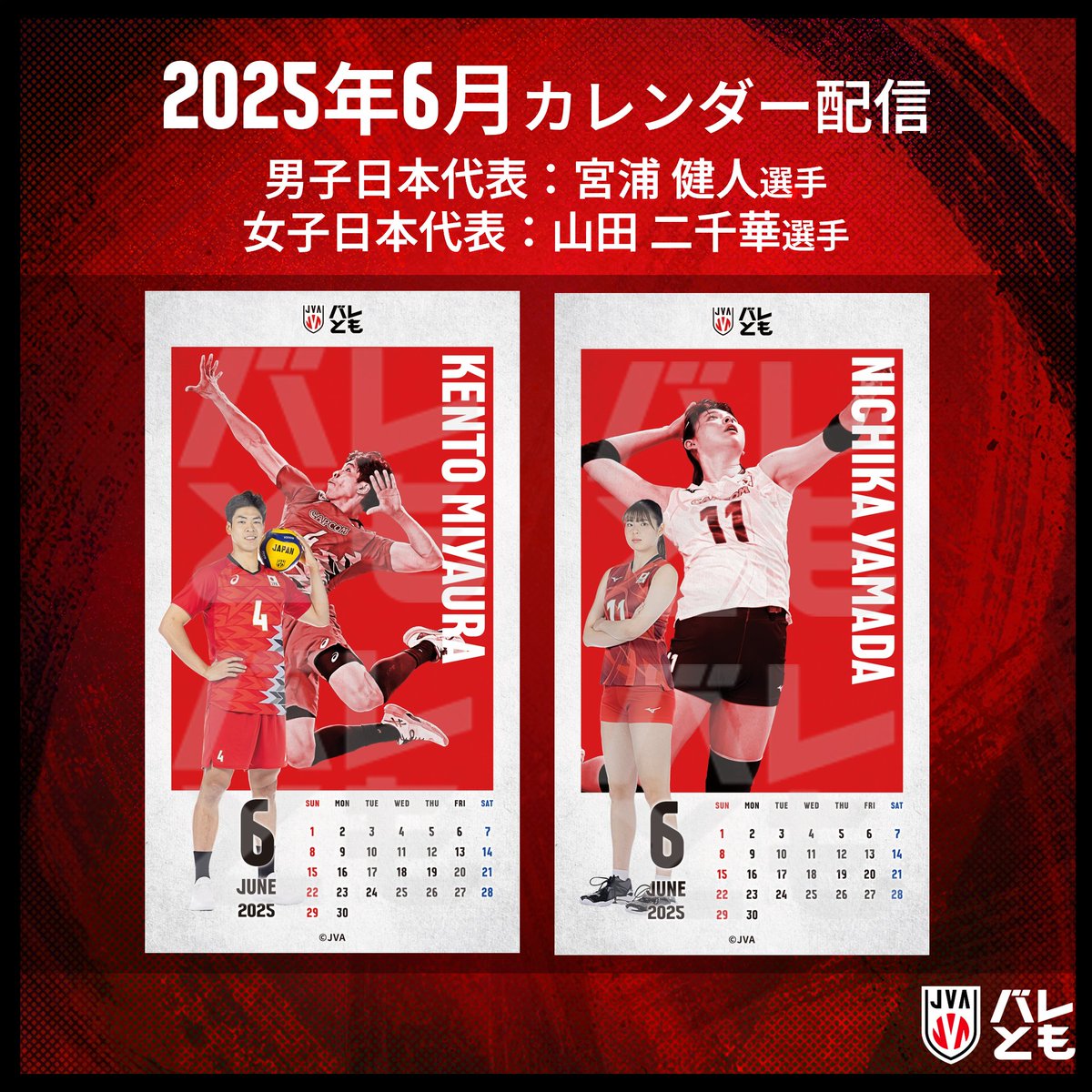直筆サイン入り】宮浦健人 バレともタオル バレーボール 宮浦健人 選手