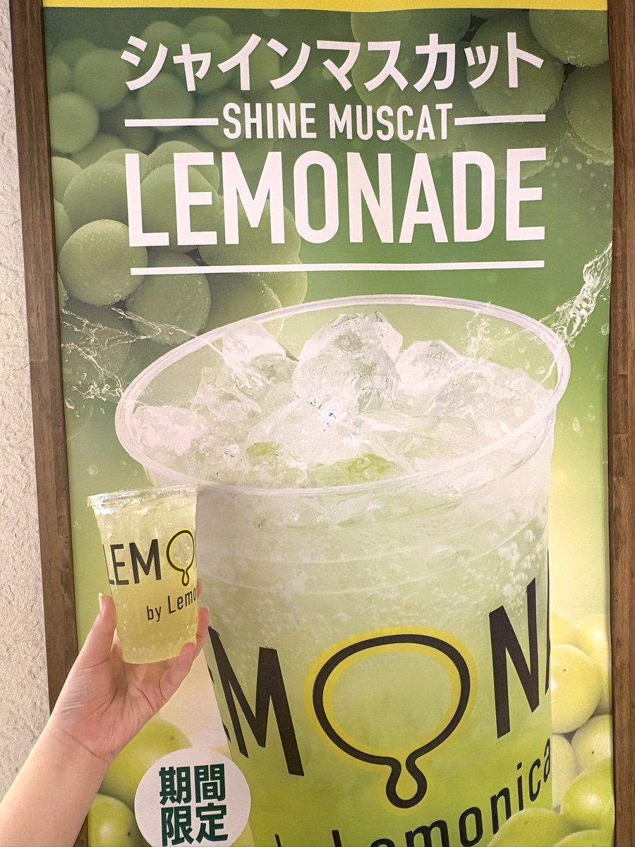 濃厚レモネード 濃厚レモネード レモン ZX 8000 Frozen Lemonade