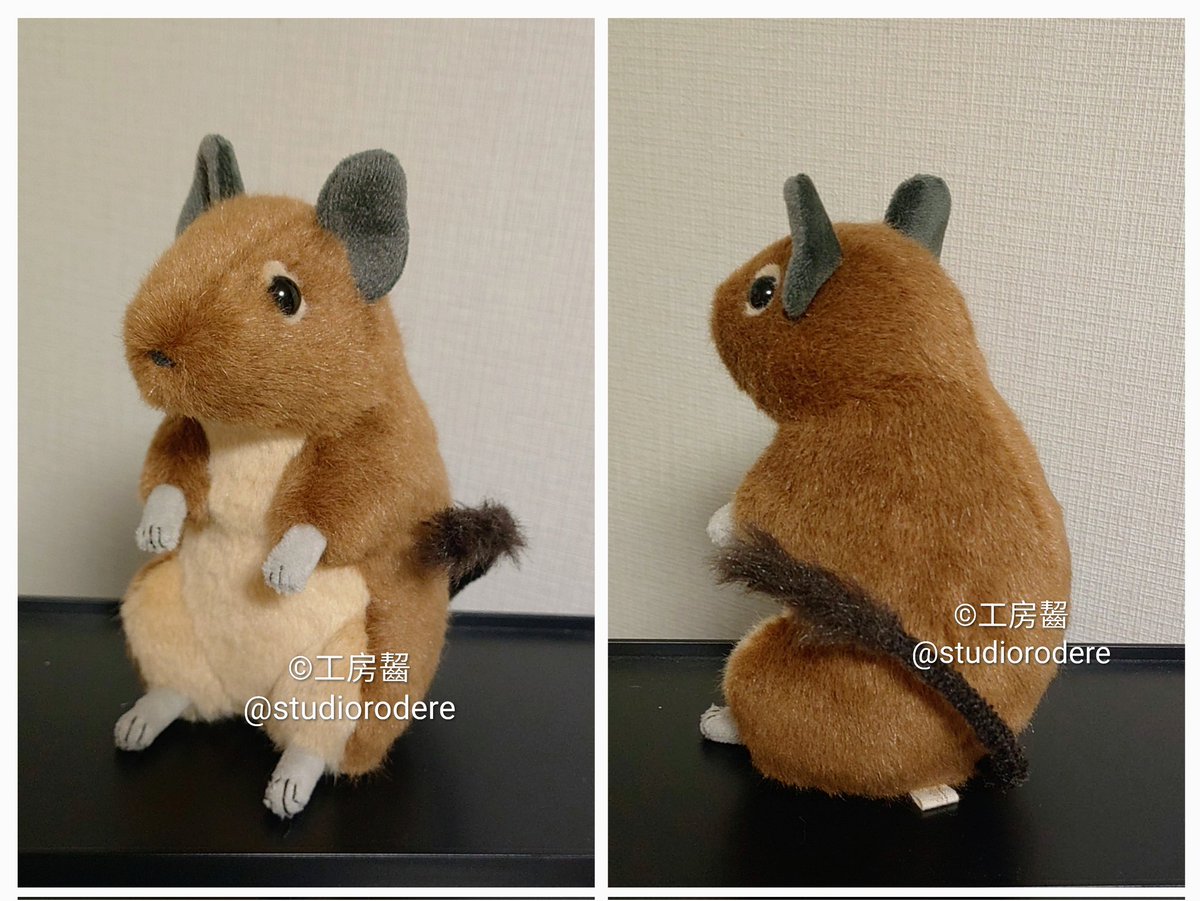 工房齧🐁 (@studiorodere) / Posts / X