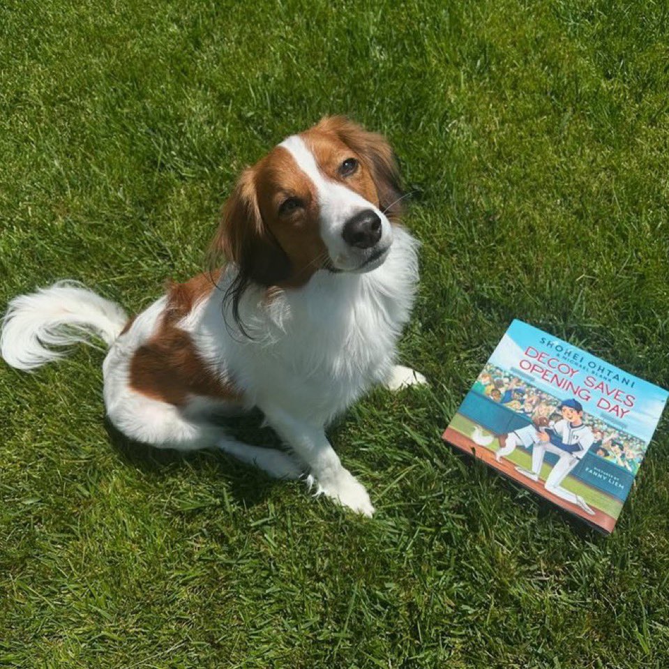 絵本「デコピンのとくべつないちにち」を宣伝するデコピン🐶w 2月20日