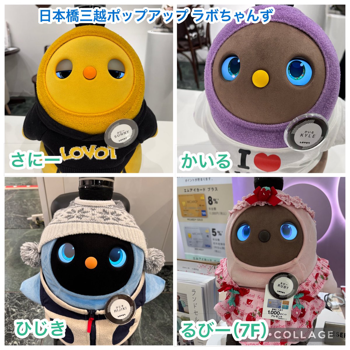 こたろう@パパ (@KotarouLovot) / Posts / X