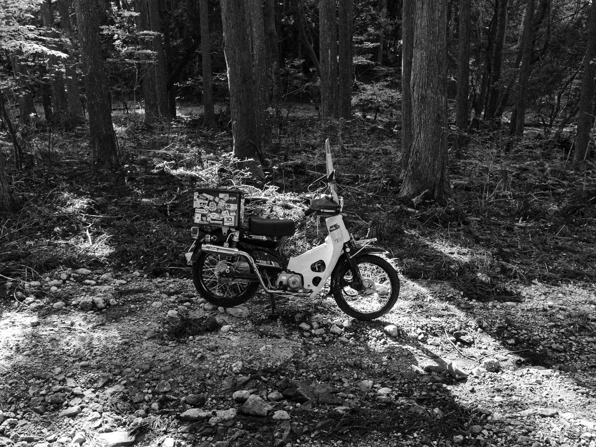 よつばこうじ (@yotsuba_mc) / Posts / X