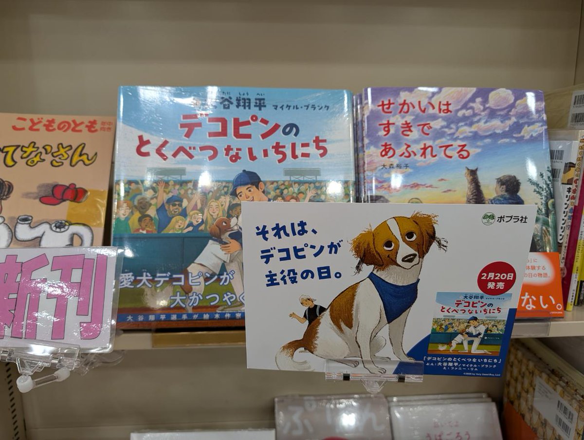 本】 『デコピンのとくべつないちにち』 #ポプラ社 本日入荷しました