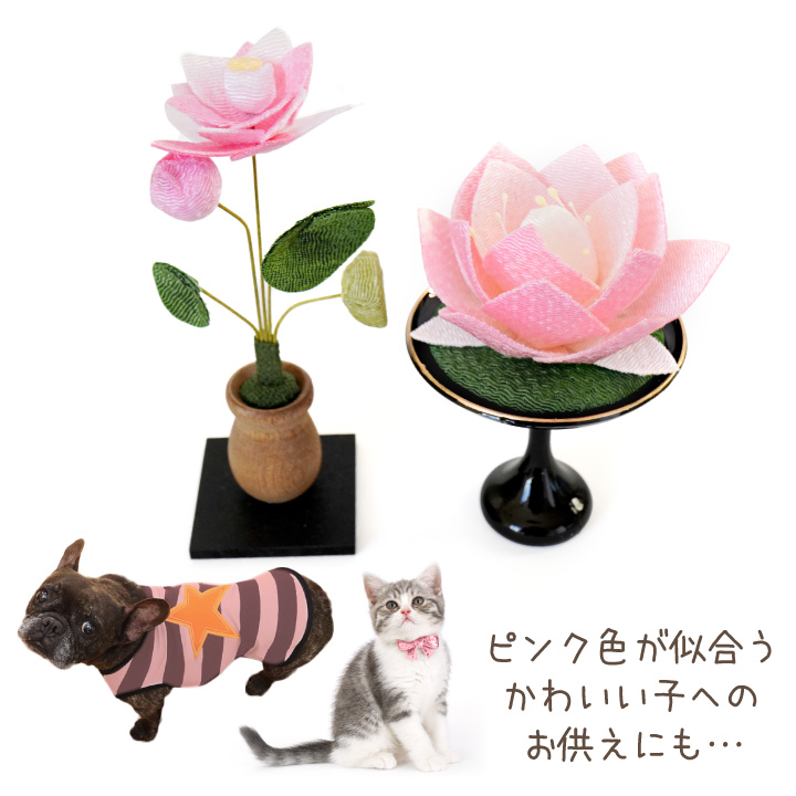 ペット用 ちりめん 蓮の花 お飾り オブジェ 置物 ミニ 小さい 国産