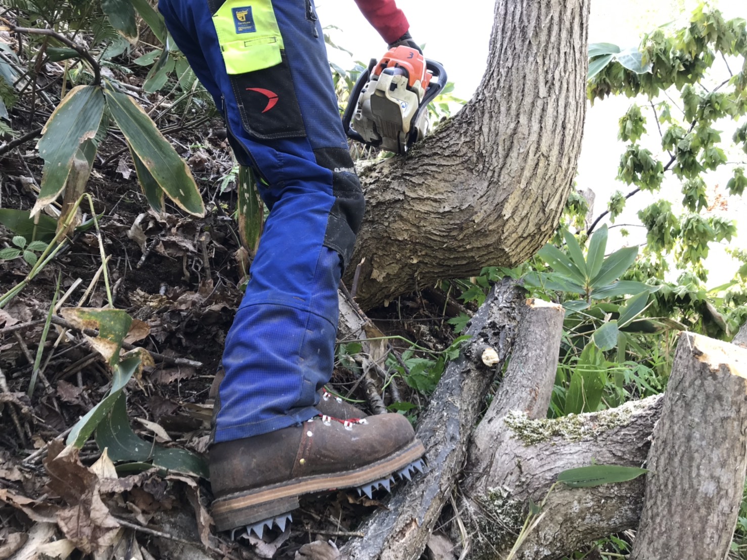 ジュフテン ピーツブイン」の感想が届きました！！ | 林業・アウトドア