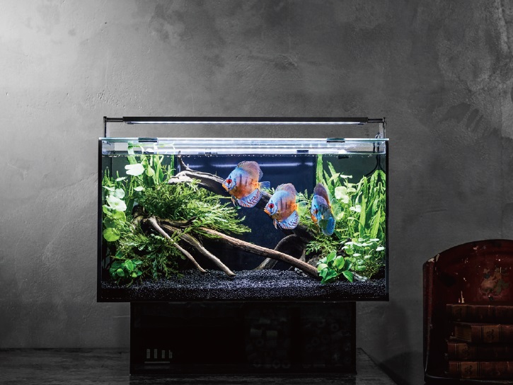 mydata_1781.jpg?1771116815