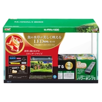 photo_1872_200_2.jpg?1757964829