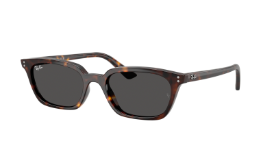 Sunglasses Ray-Ban Zaya Bio-based RB4456 135980 53-19 Havana