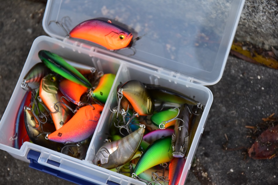 ルアマガprime | 金森隆志 JUKE BOX 2021/11/23 レベルバイブ