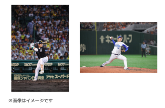 期間限定！】「マイナビオールスターゲーム2021」「プロ野球フレッシュ