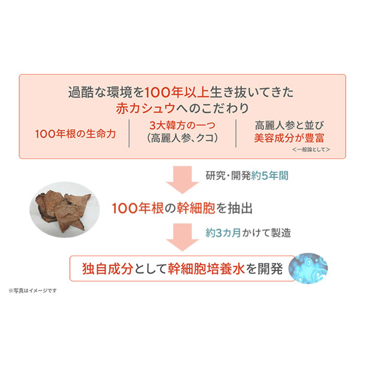 サイムダンプレミアム ファーストクラス パーフェクトリッチクリーム