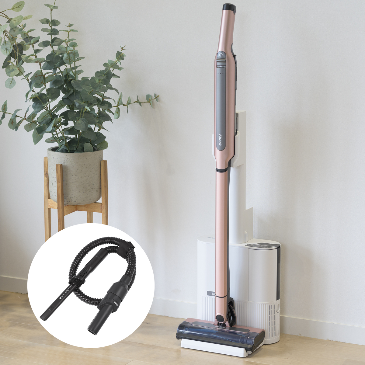 シャーク エヴォパワーシステムSTD+ CS150JAE 特別セット シャーク