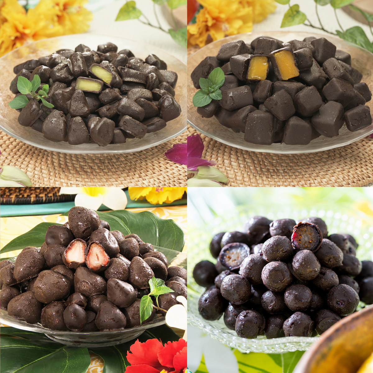 トロピカルマリア チョコがけフルーツ2箱セット トロピカルマリア