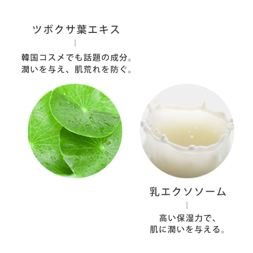 V3ブリリアントファンデーション レフィル＆パフ通販|麗ビューティー