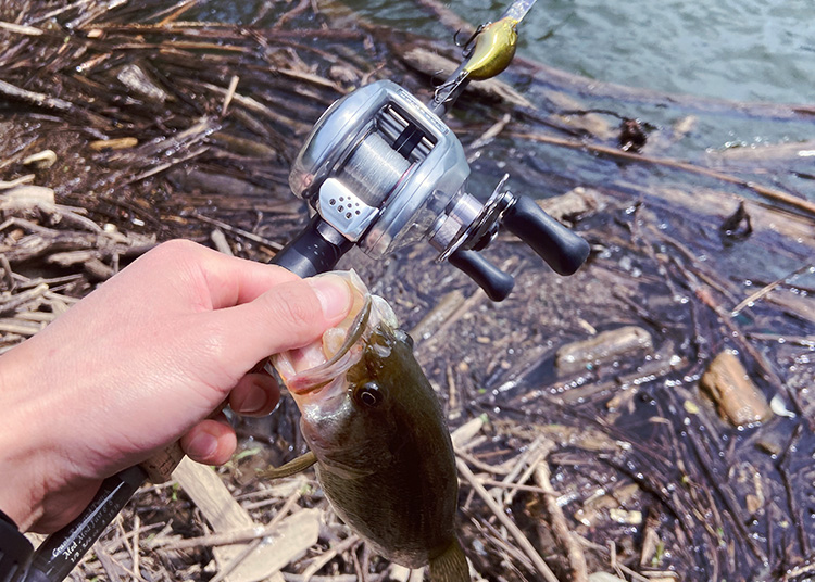 97メタニウムXTにKDW01カルコン用オフセットクラッチ装着 – Riverside