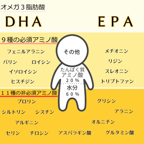 ローズオンラインショップ / アミノゴールドEX 480mg×90粒 アミノ酸