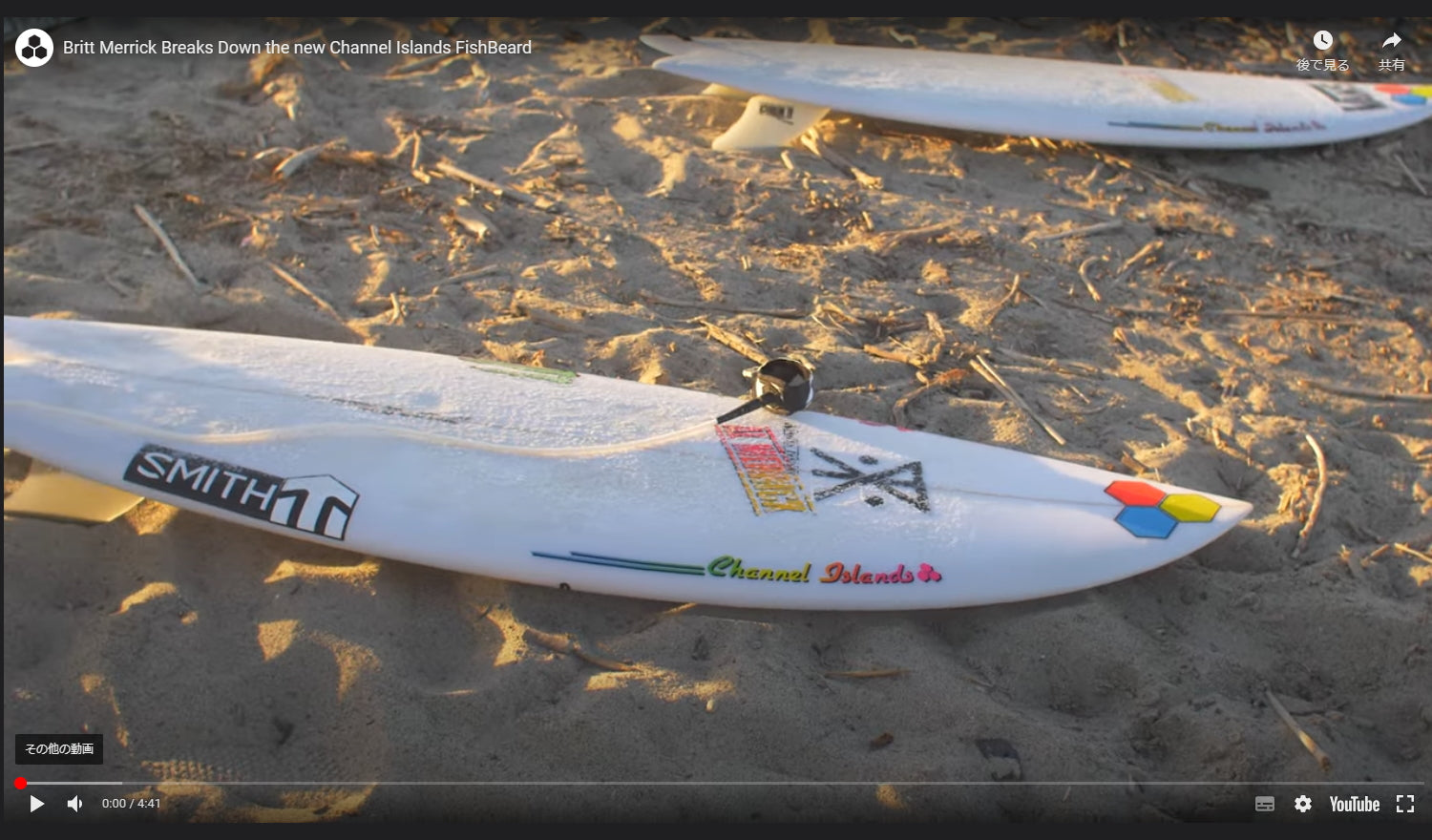 5.11 フィッシュベアード アルメリック サーフボード サーフィン