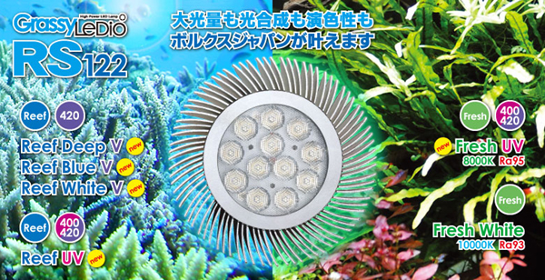 交換球 ボルクスジャパン グラッシーレディオRS122 リーフUV ディープ