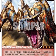 Wii『モンハン3』発売記念！「モンスターハンター ハンティングカード