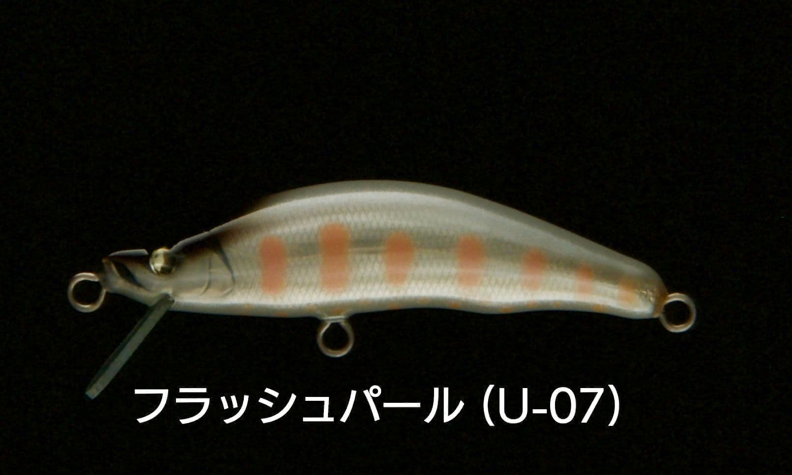 dsc_2969.jpg?v=1739022856710