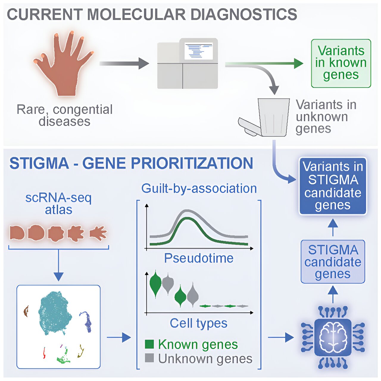 AI-based algorithm enables better genetic diagnoses