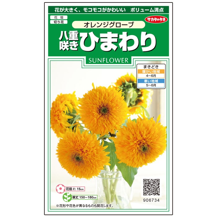 ヒマワリ オレンジグローブ｜種（タネ）,球根,苗,資材,ガーデニング