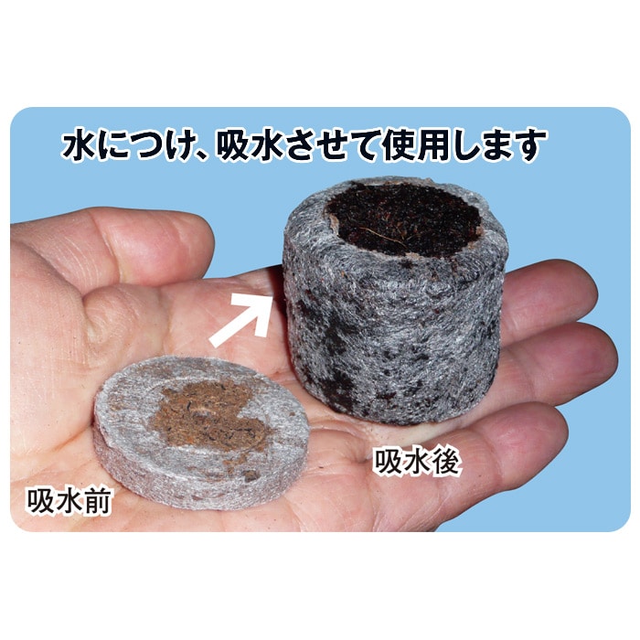 ジフィーセブン30mm（そのまま植えられる土ポット）｜種（タネ）,球根