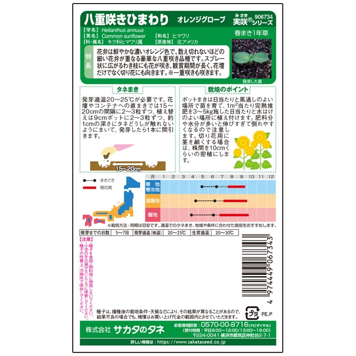 ヒマワリ オレンジグローブ｜種（タネ）,球根,苗,資材,ガーデニング